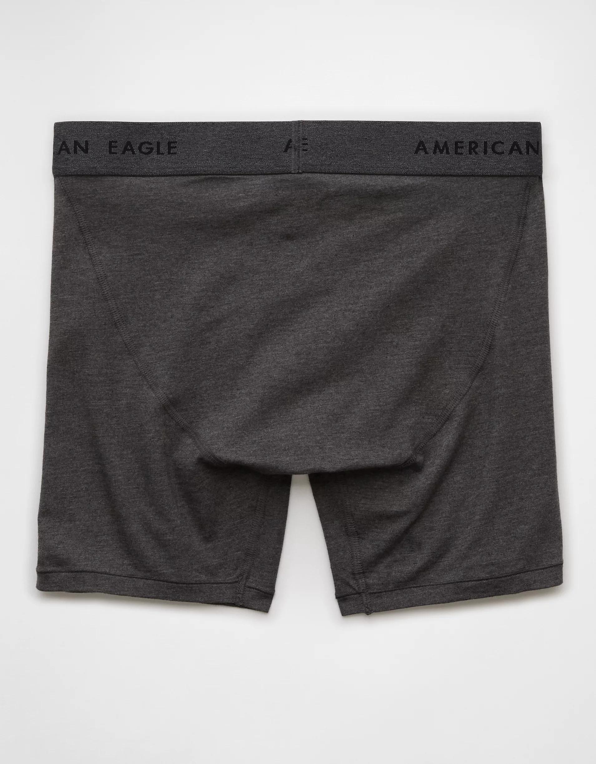 AEO Men's 6" Classic Boxer Brief Product Image
