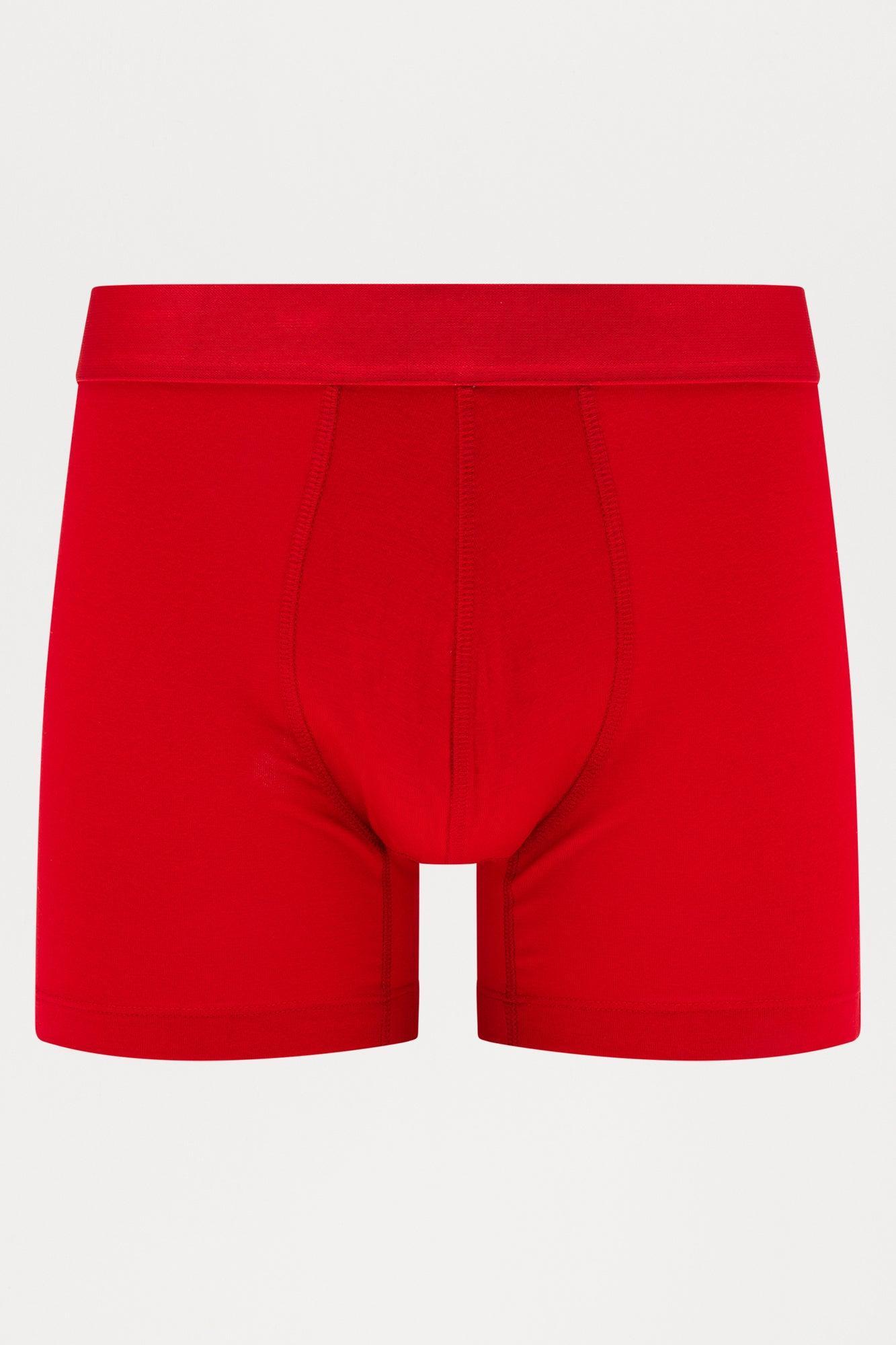 Essential Modal Boxer Brief - Red Product Image
