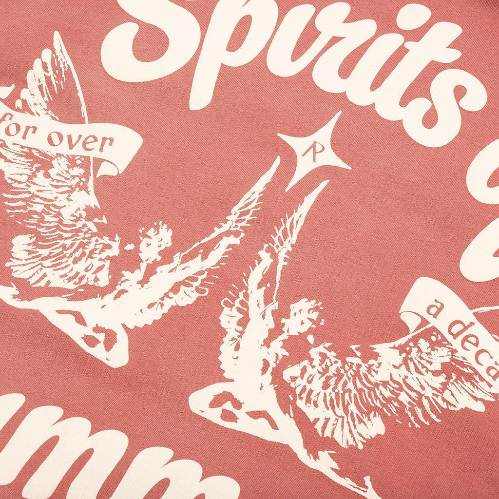 Spirits of Summer Hoodie - Sunrise Male Product Image