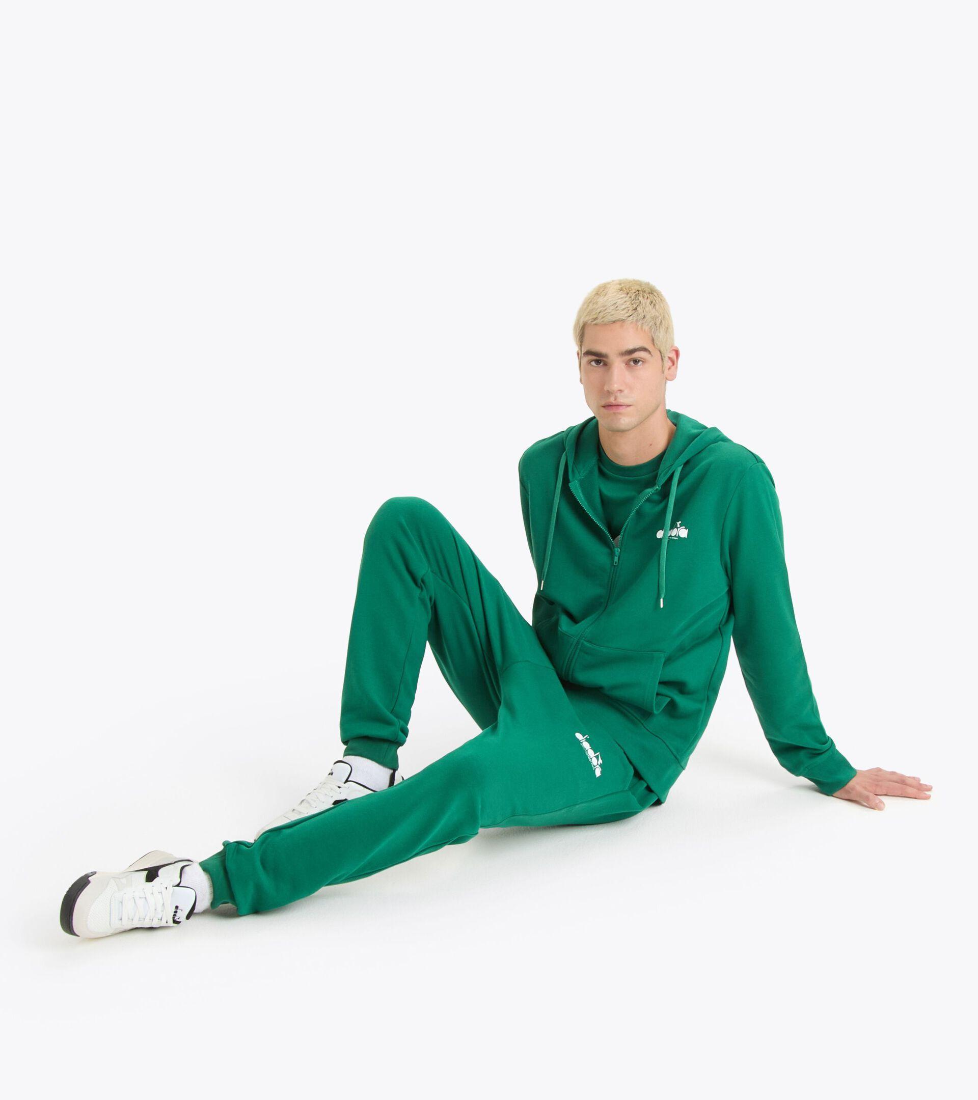 HOODIE FZ LOGO Product Image
