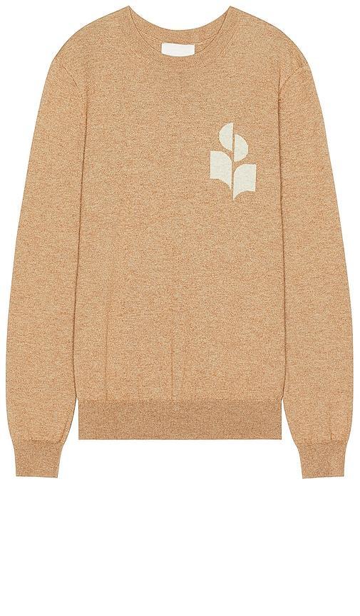 Isabel Marant Evans Iconic Sweater in Brown Product Image