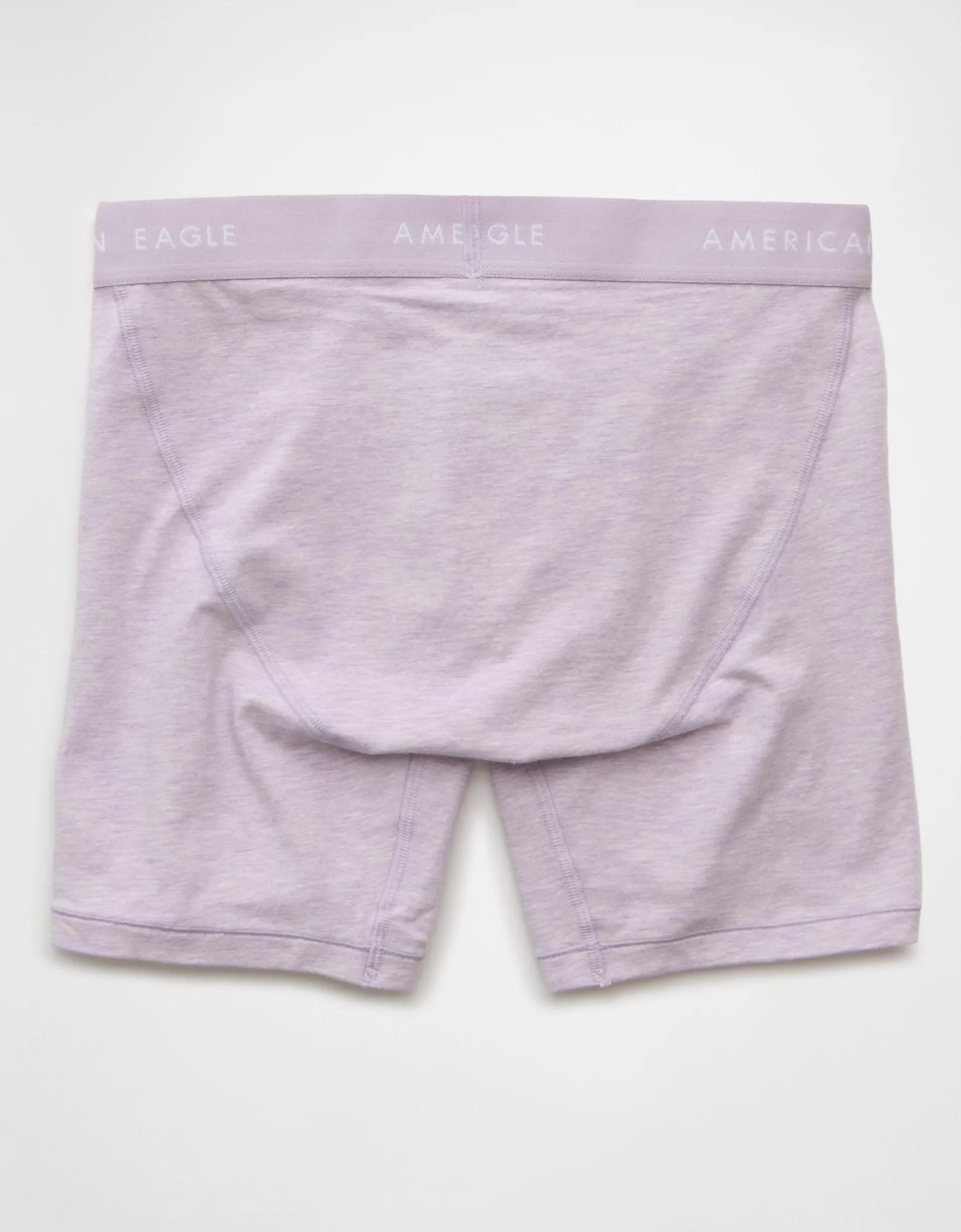 AEO Men's 6" Classic Boxer Brief Product Image