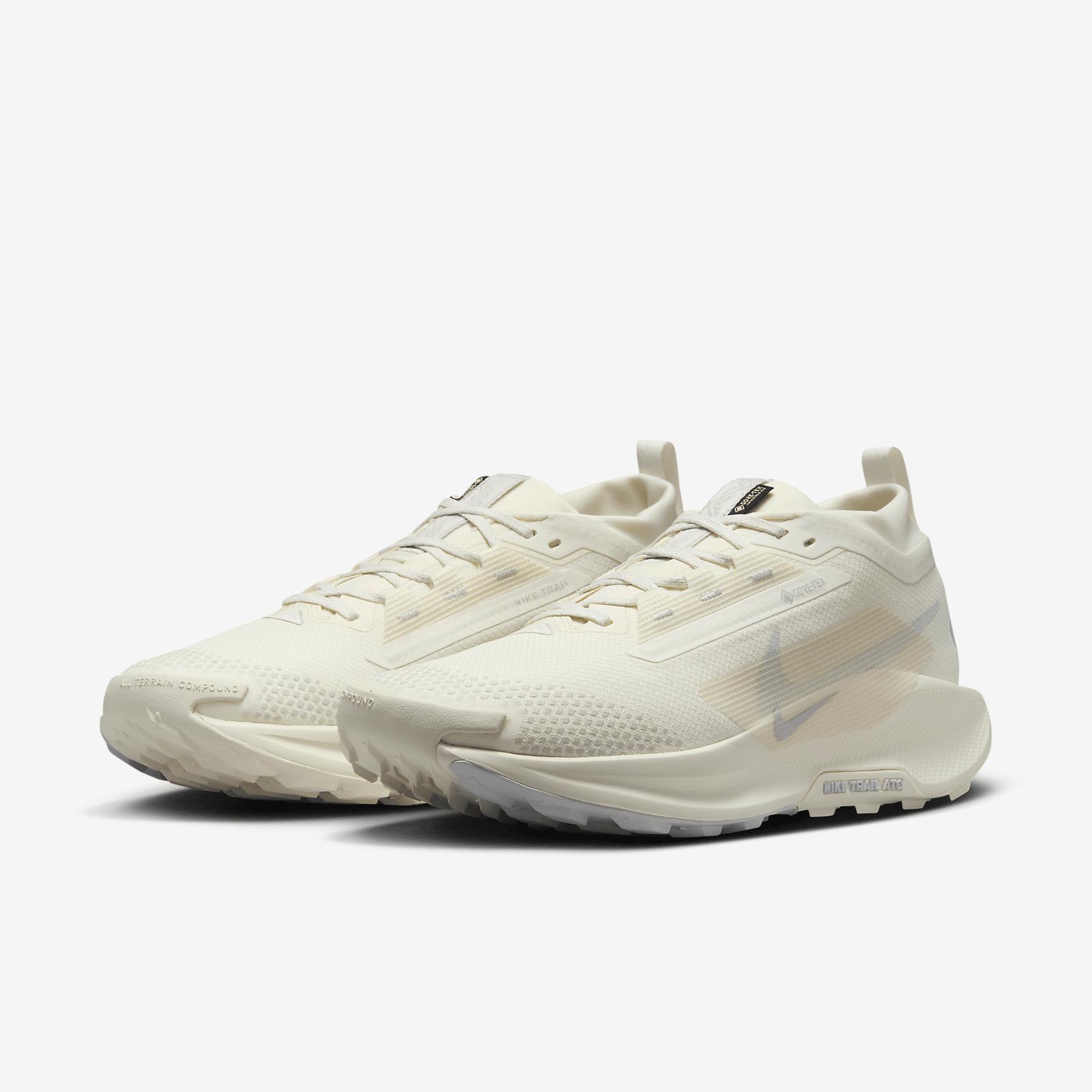 Nike Men's Pegasus Trail 5 GORE-TEX Waterproof Trail Running Shoes Product Image