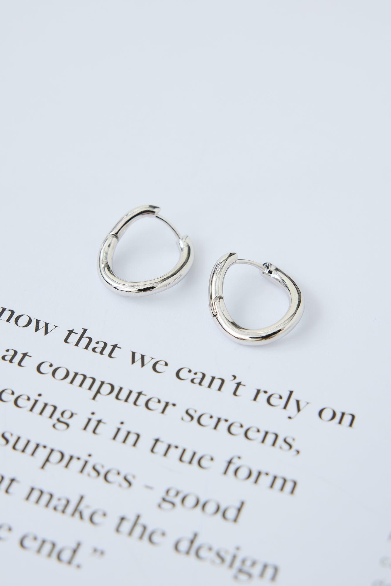 Chicest Earrings Silver Product Image