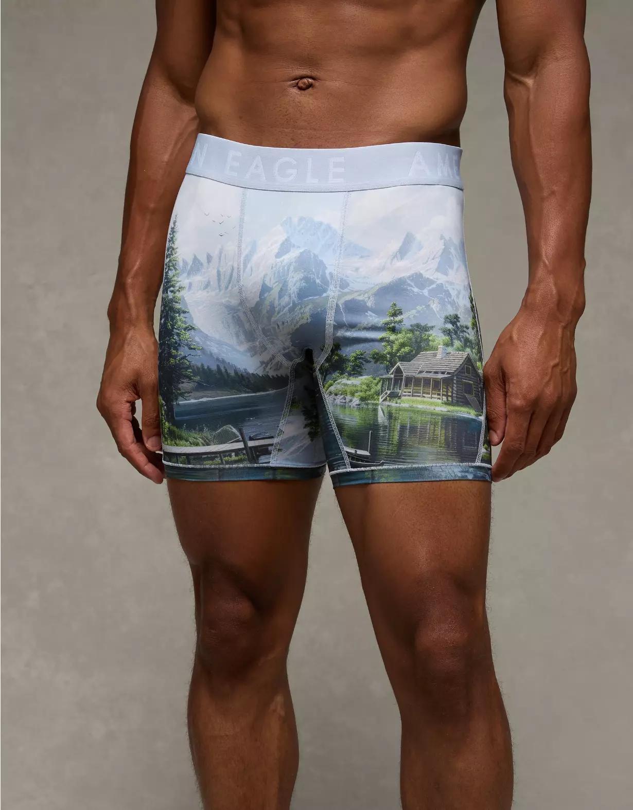 AEO Men's Lake 6" Flex Boxer Brief Product Image