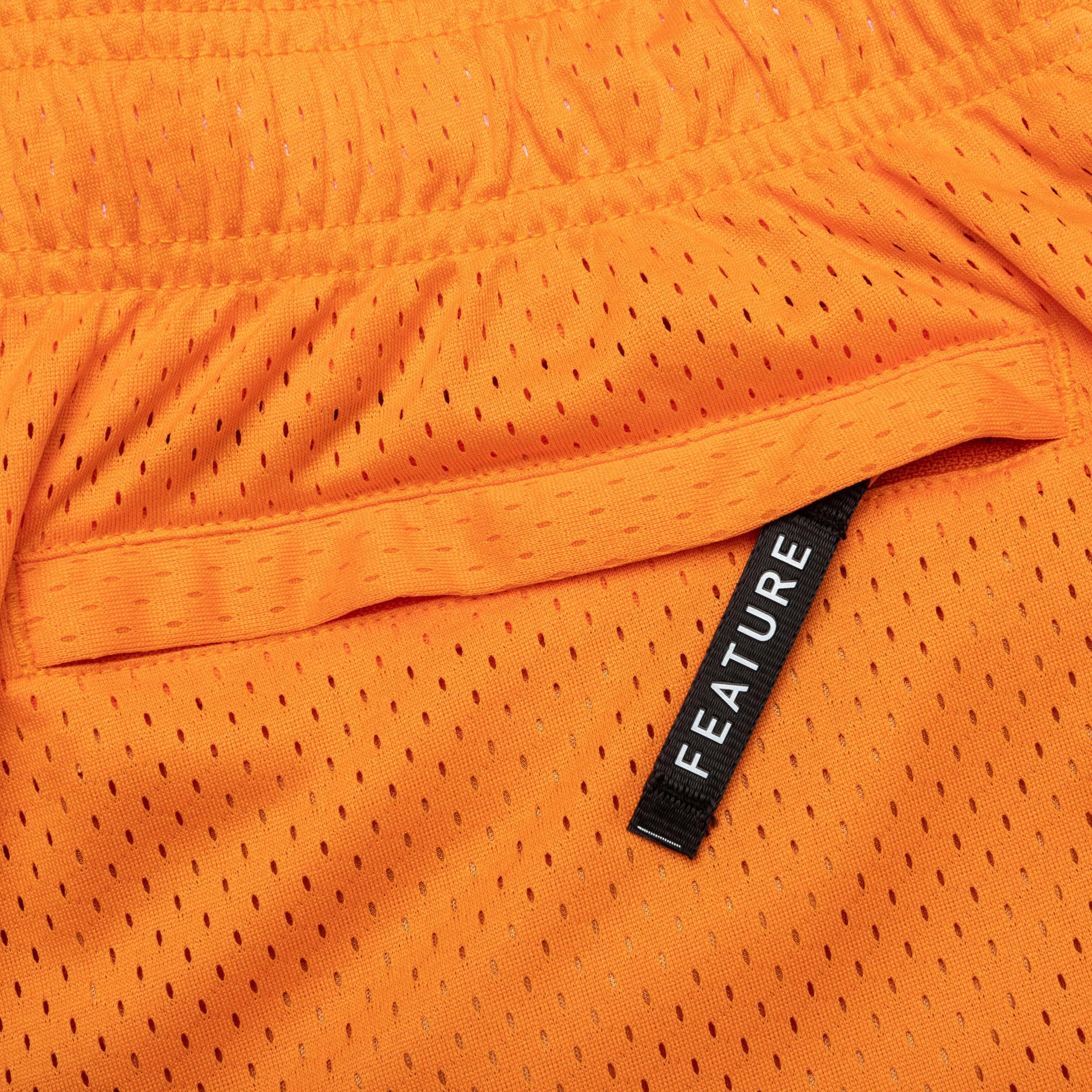 West Mesh Shorts - Orange Male Product Image