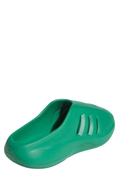 adidas Gender Inclusive Adifom Iiinfinity Mule in Court Green/Court Green at Nordstrom, Size 10 Women's Product Image