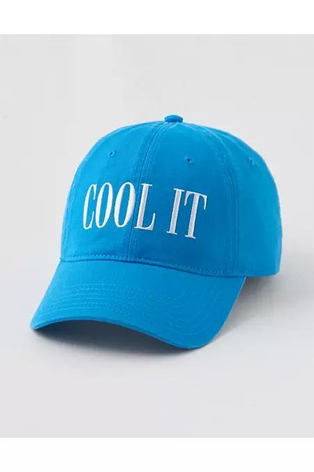 Aerie Graphic Baseball Hat Women's Product Image