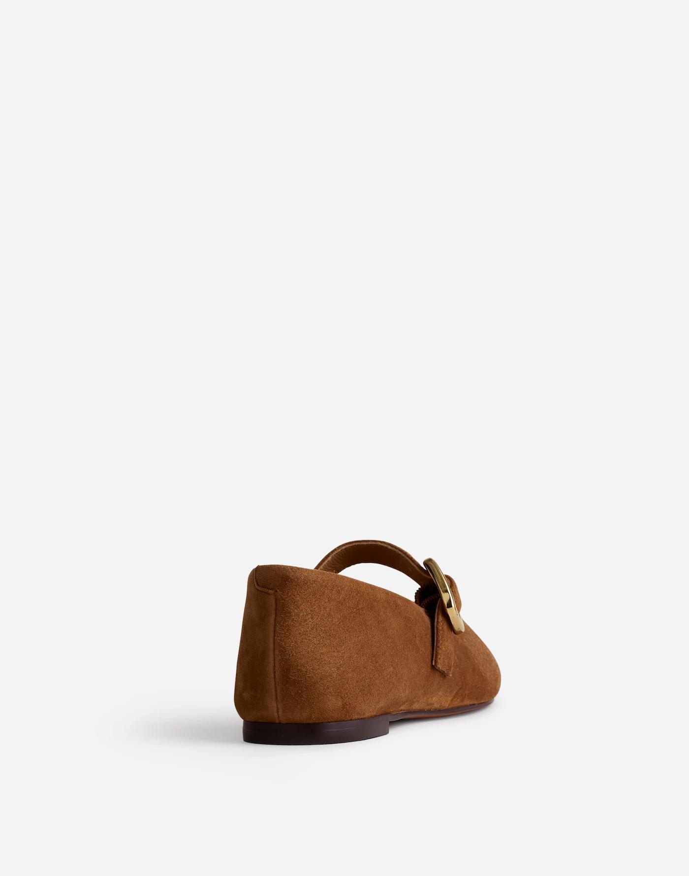 The Remy Mary Jane Flat Product Image