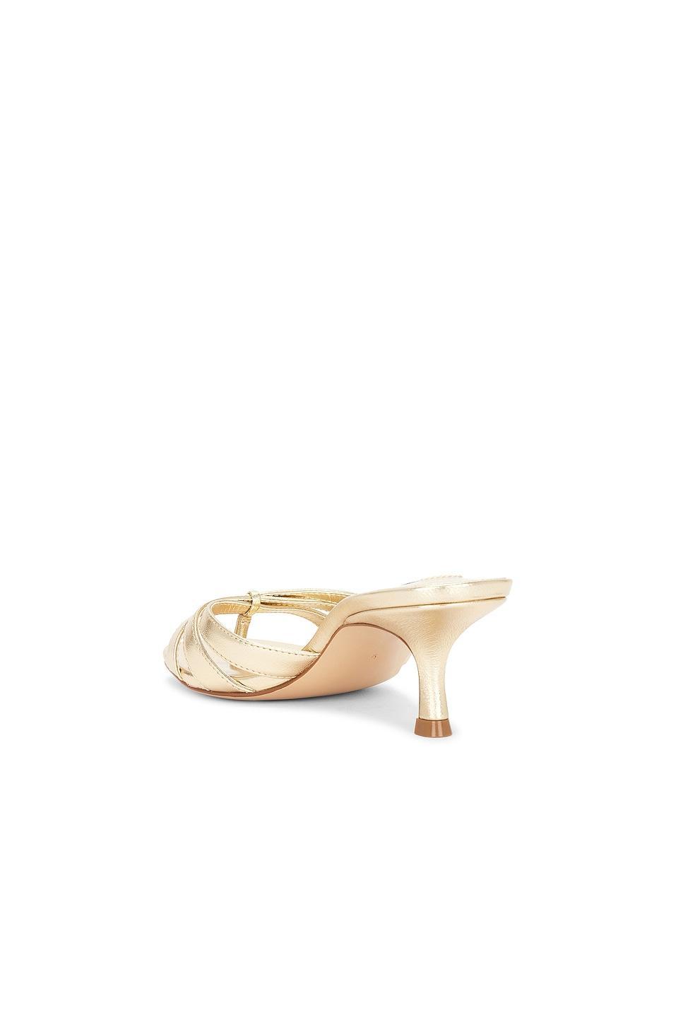 Cary Sandal Steve Madden Product Image
