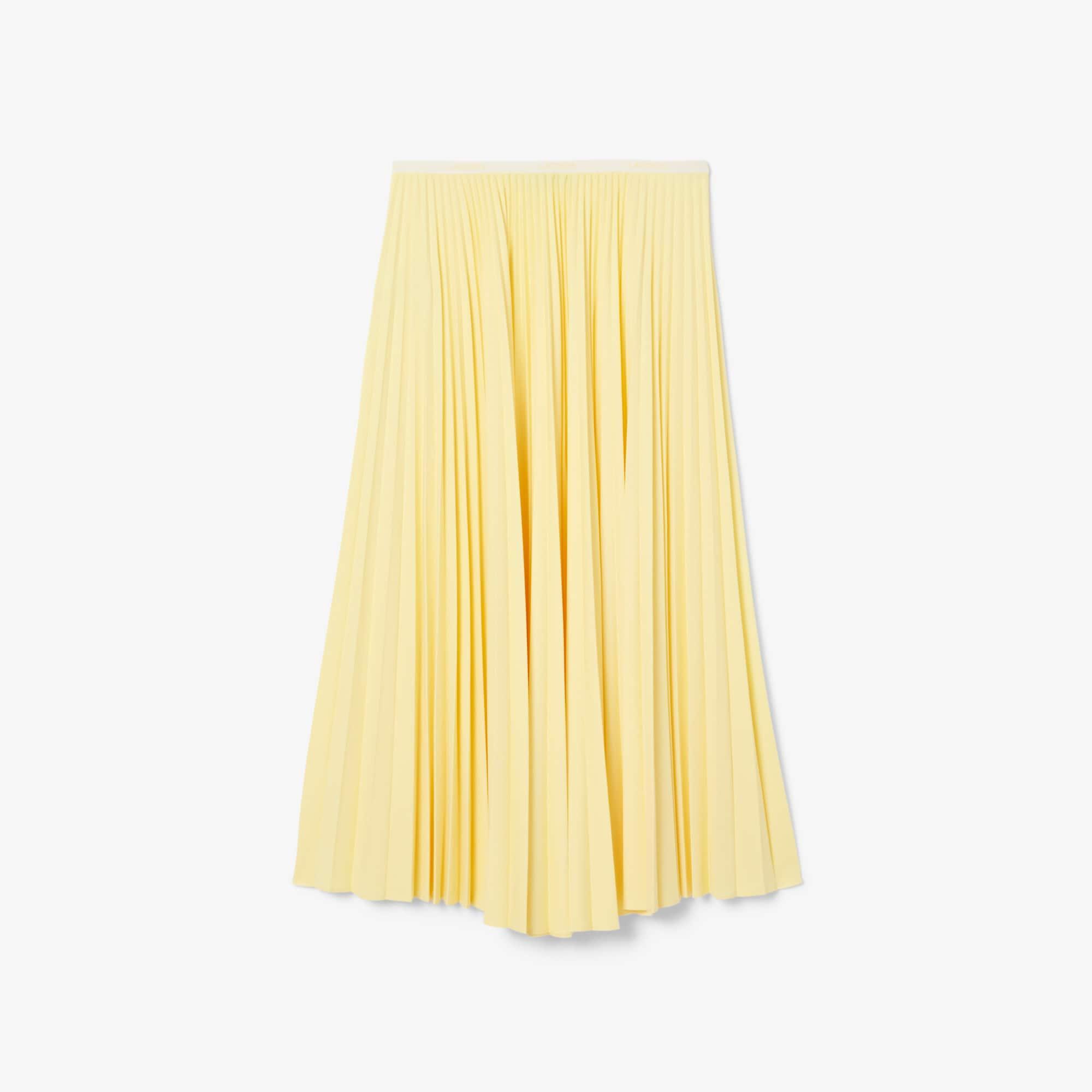 Long Pleated Elasticated Waist Skirt Product Image
