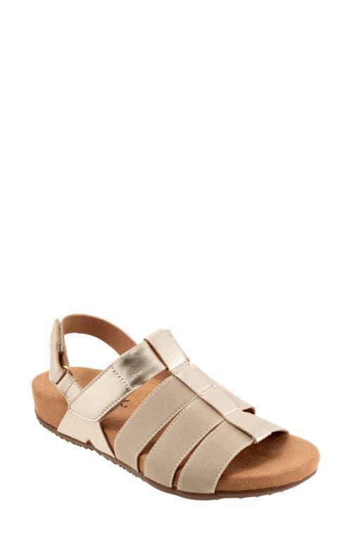 SoftWalk Burnaby (Navy Nubuck) Women's Sandals Product Image