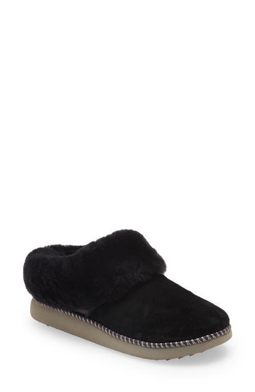 OluKai Ku'i Fog) Women's Shoes Product Image