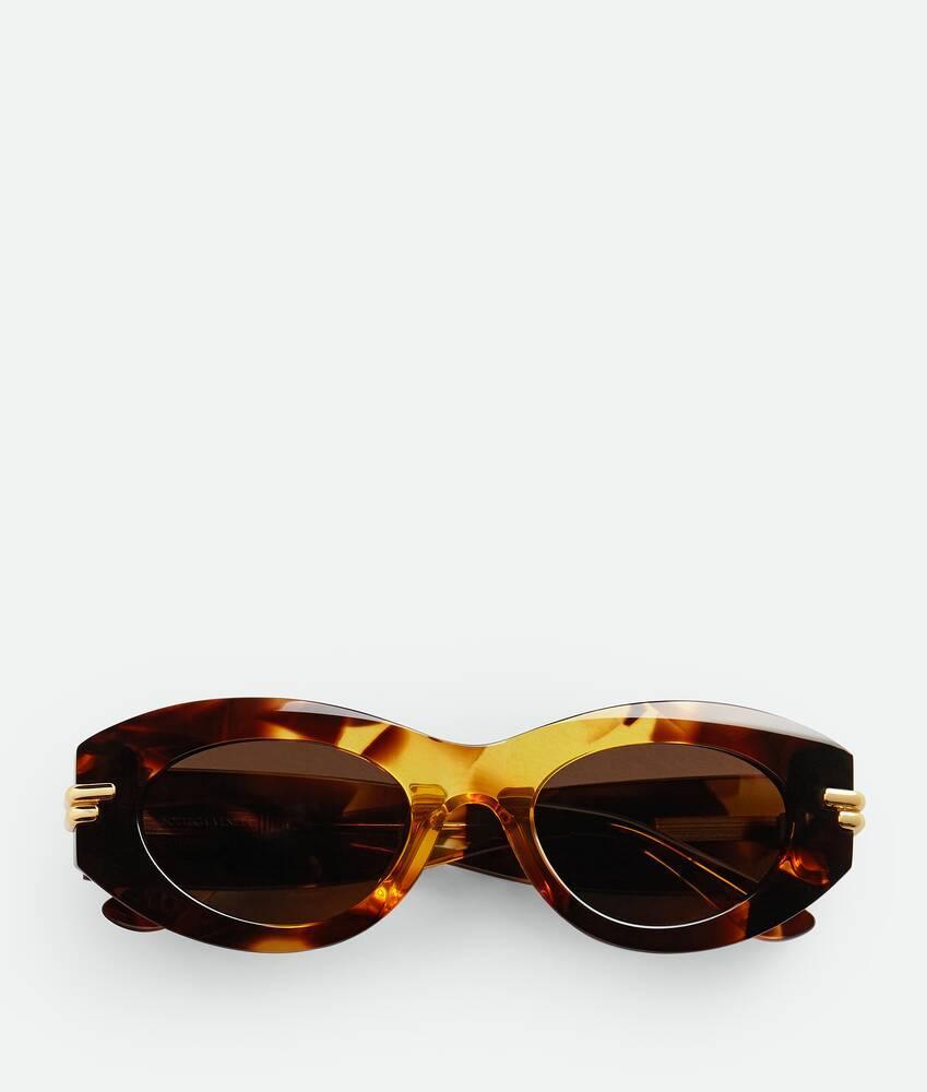 Mitre Oval Sunglasses in Havana/brown Product Image