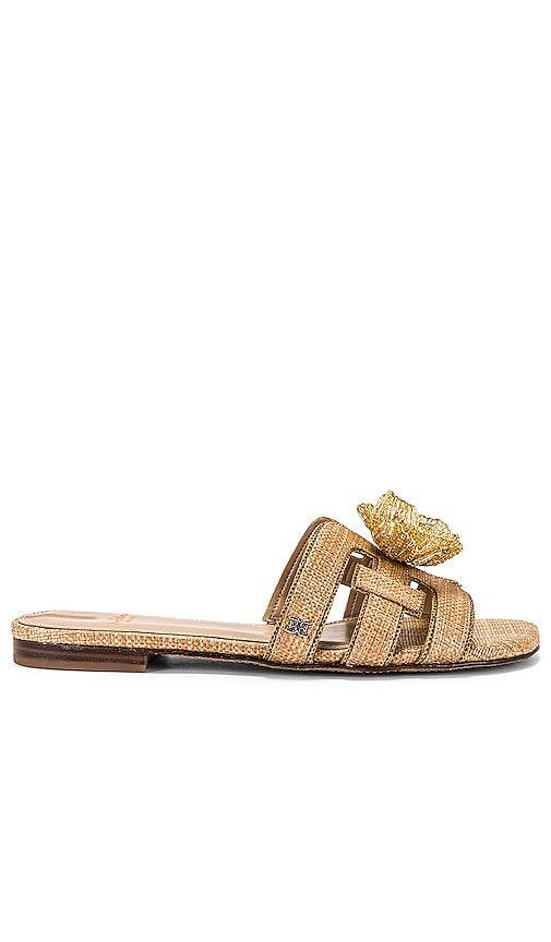 Bay Flora Sandal Sam Edelman Product Image