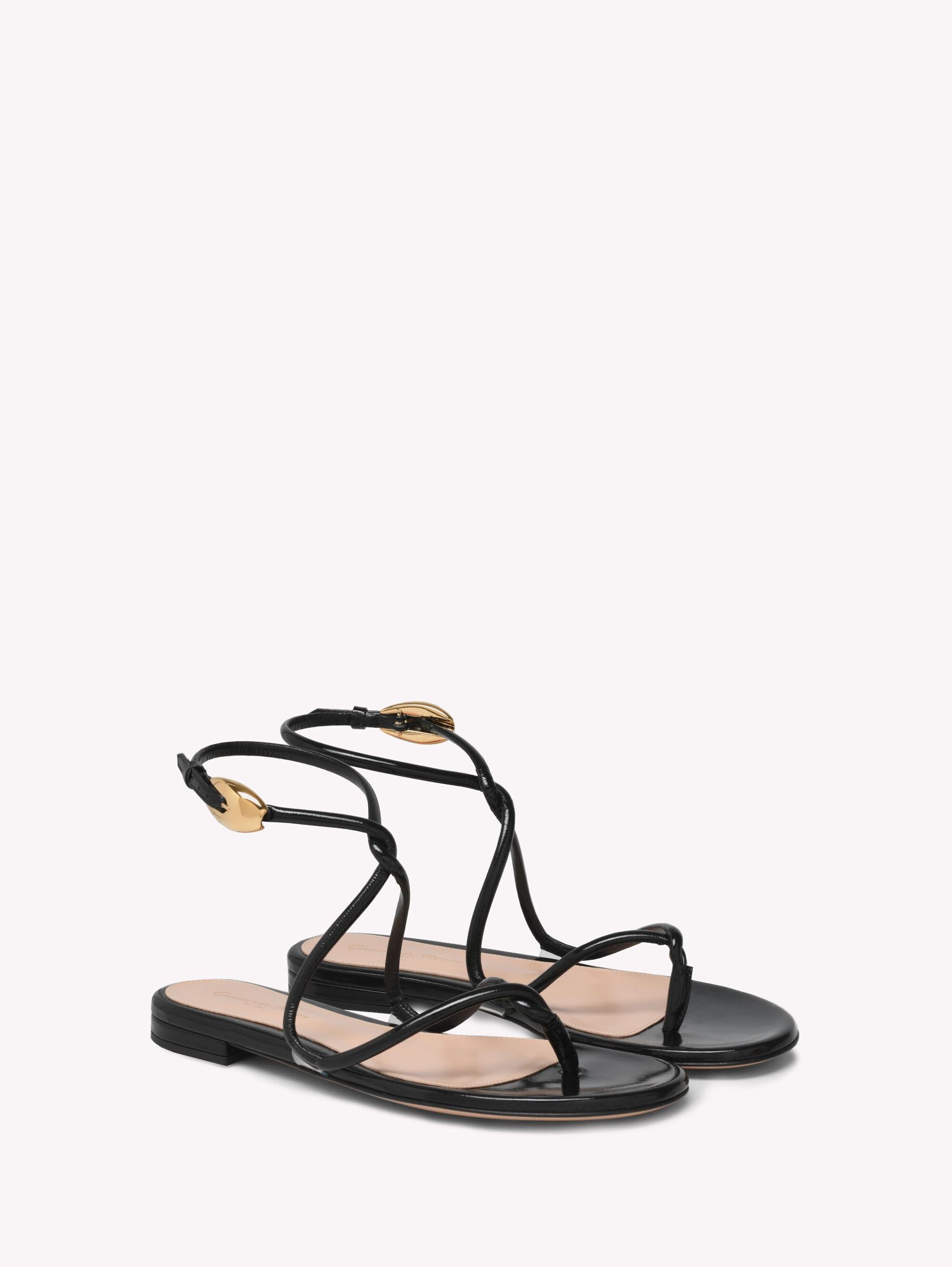 BLACK MAMBA FLAT Gianvito Rossi Product Image