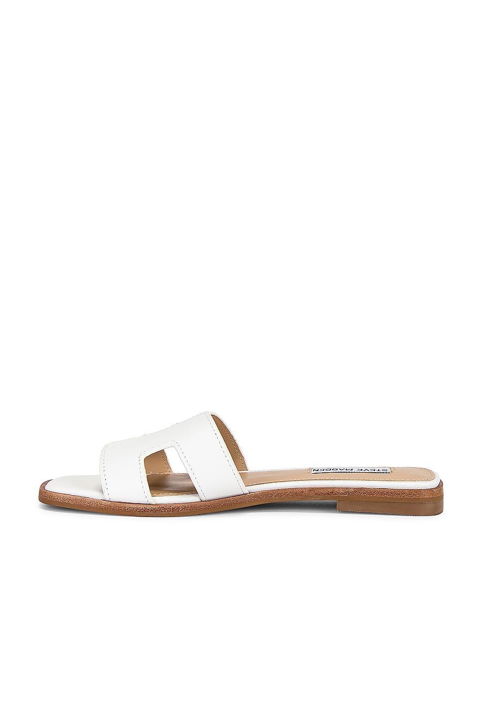 Hadyn Sandal Steve Madden Product Image