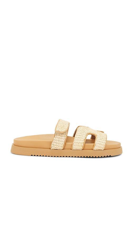 Mayven Sandal in Steve Madden Product Image