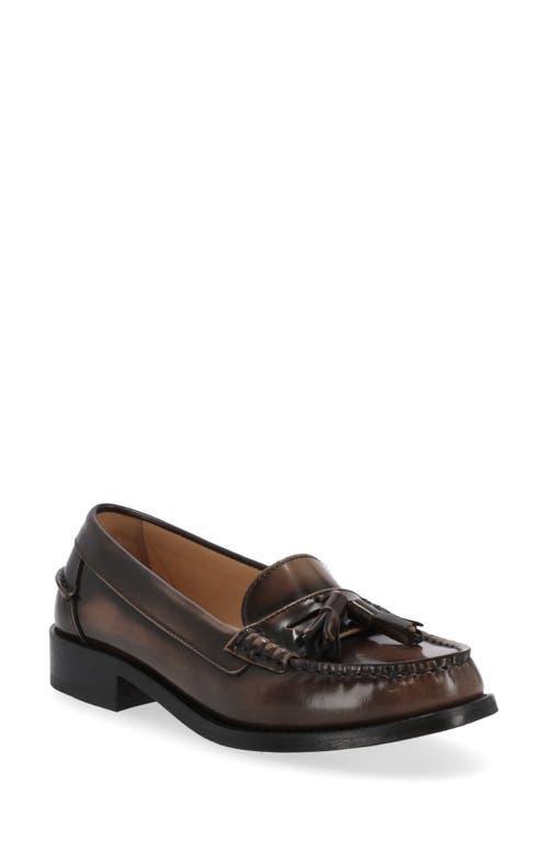 Alohas Womens Terrane Leather Loafers Product Image