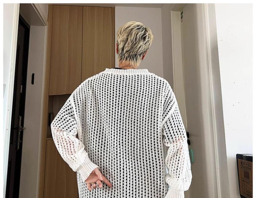 Crew Neck Plain Pointelle Knit Sweater Product Image