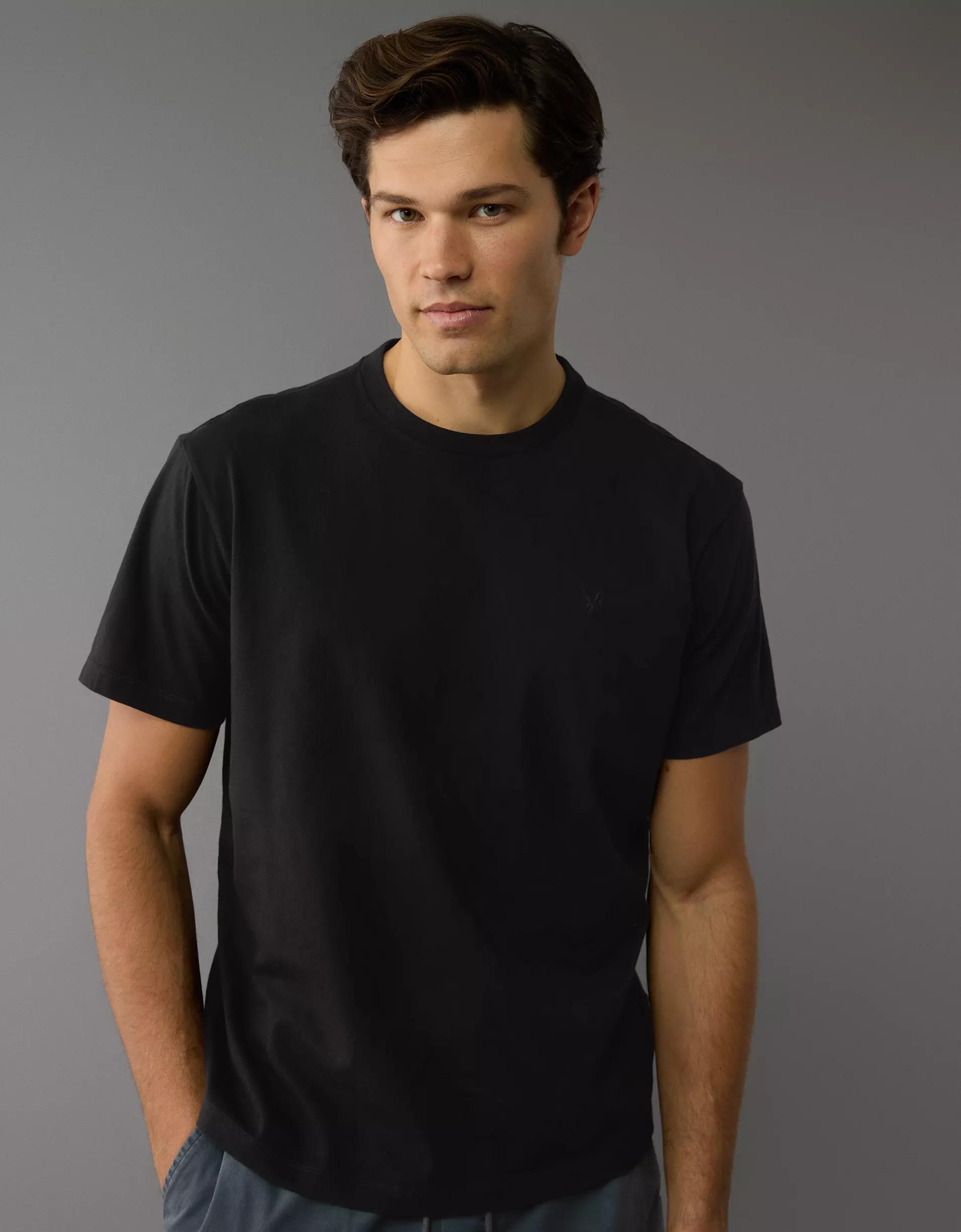 AE Logo Lived-In T-Shirt Product Image