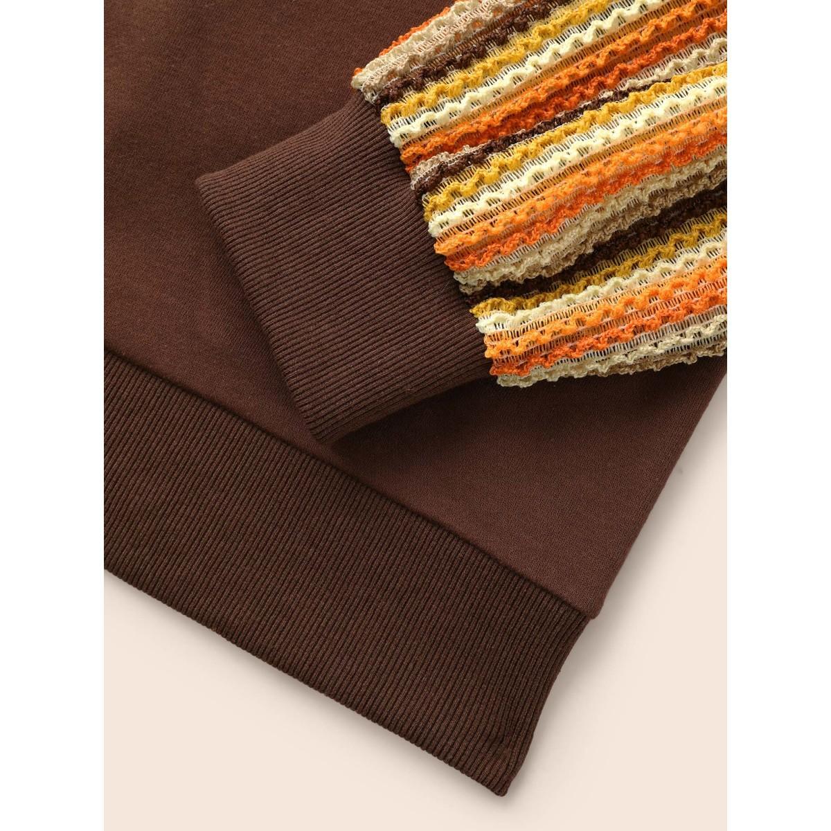 Plus Size Striped Textured Patchwork Raglan Sleeve Sweatshirt Women DarkBrown Casual Texture Round Neck Everyday Sweatshirts BloomChic 22-24/3X Product Image
