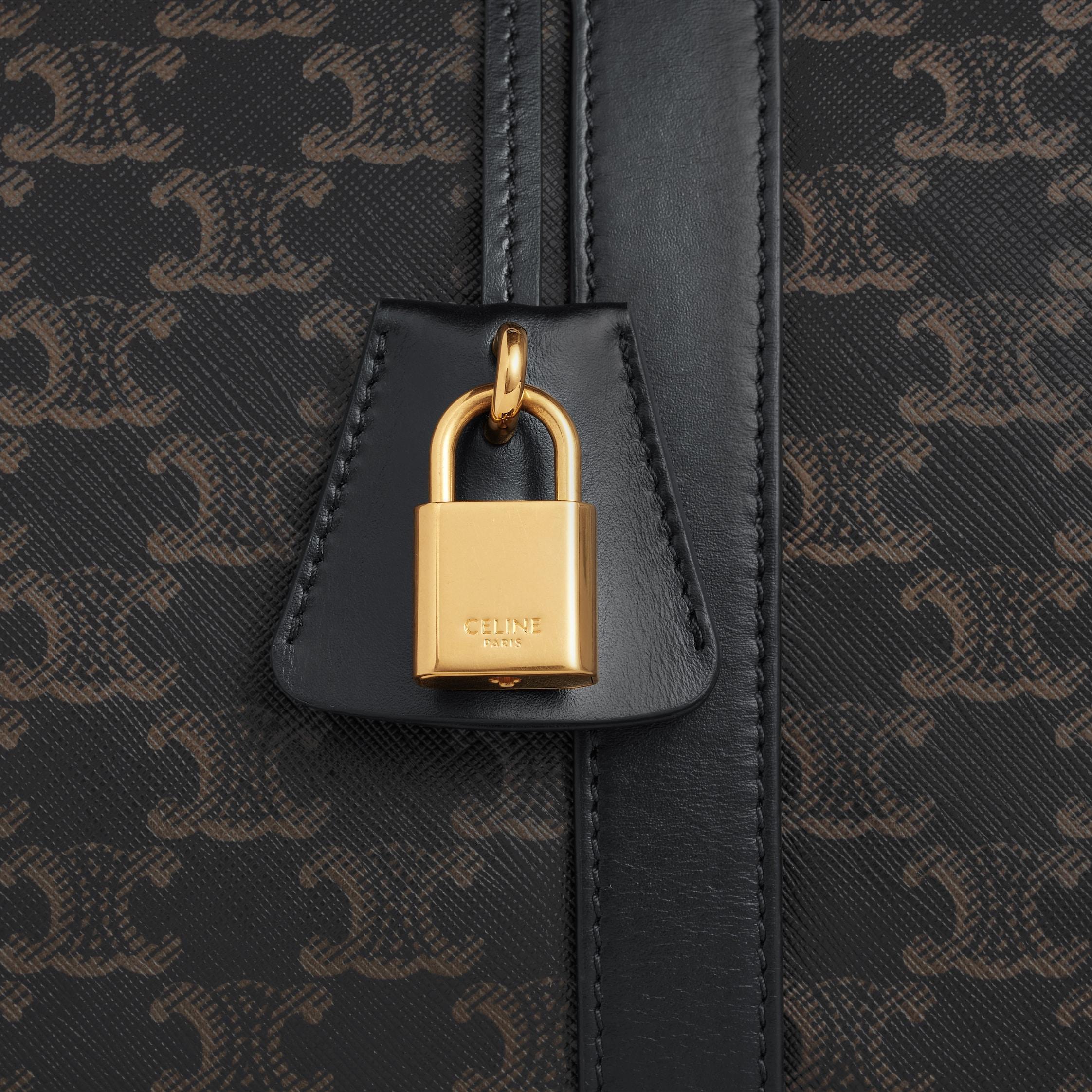 Medium Travel Bag IN Triomphe Canvas AND calfskin Product Image