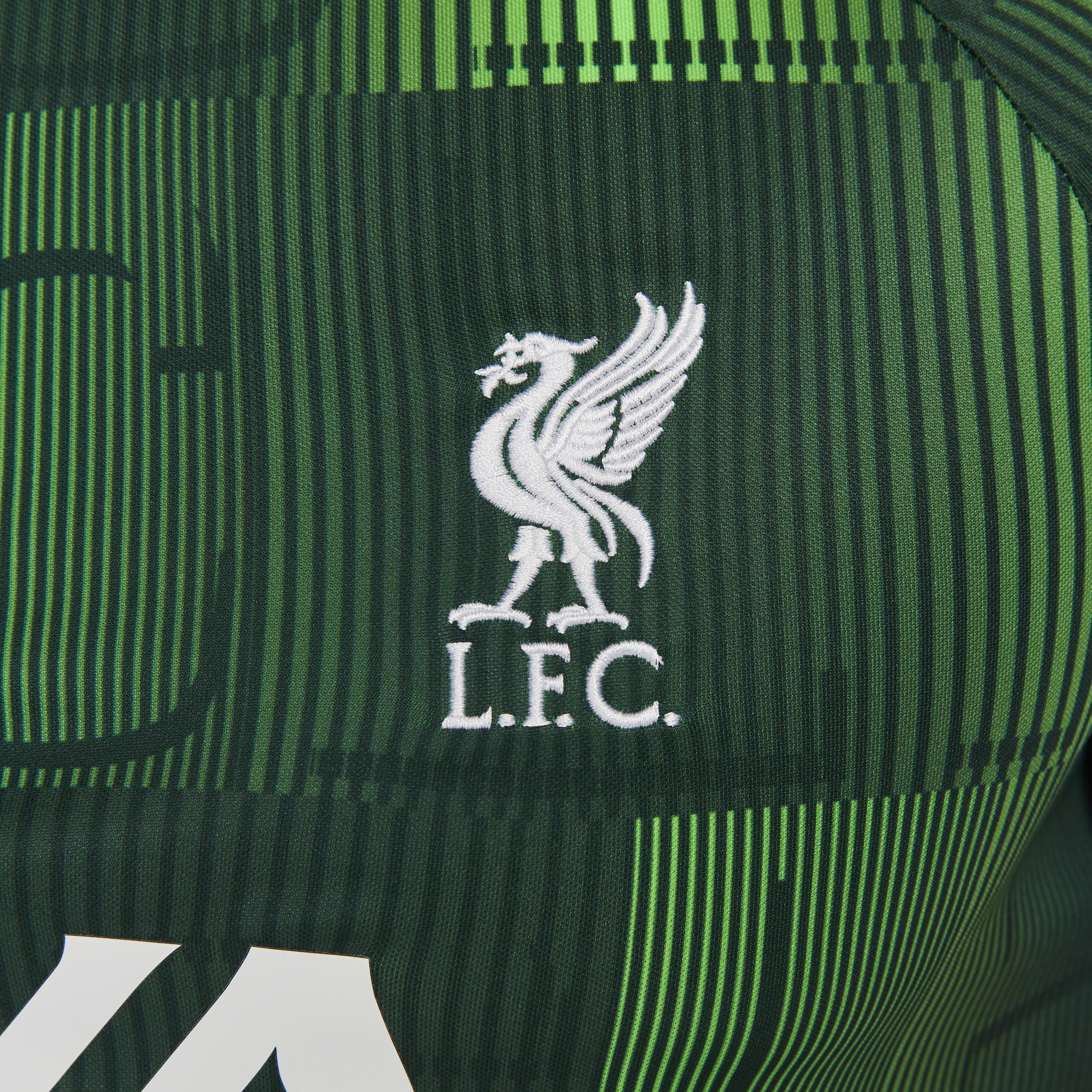 Men's Nike Green Liverpool 2023/24 Academy Pro Pre-Match Top, Size: Large, Lvp Green Product Image