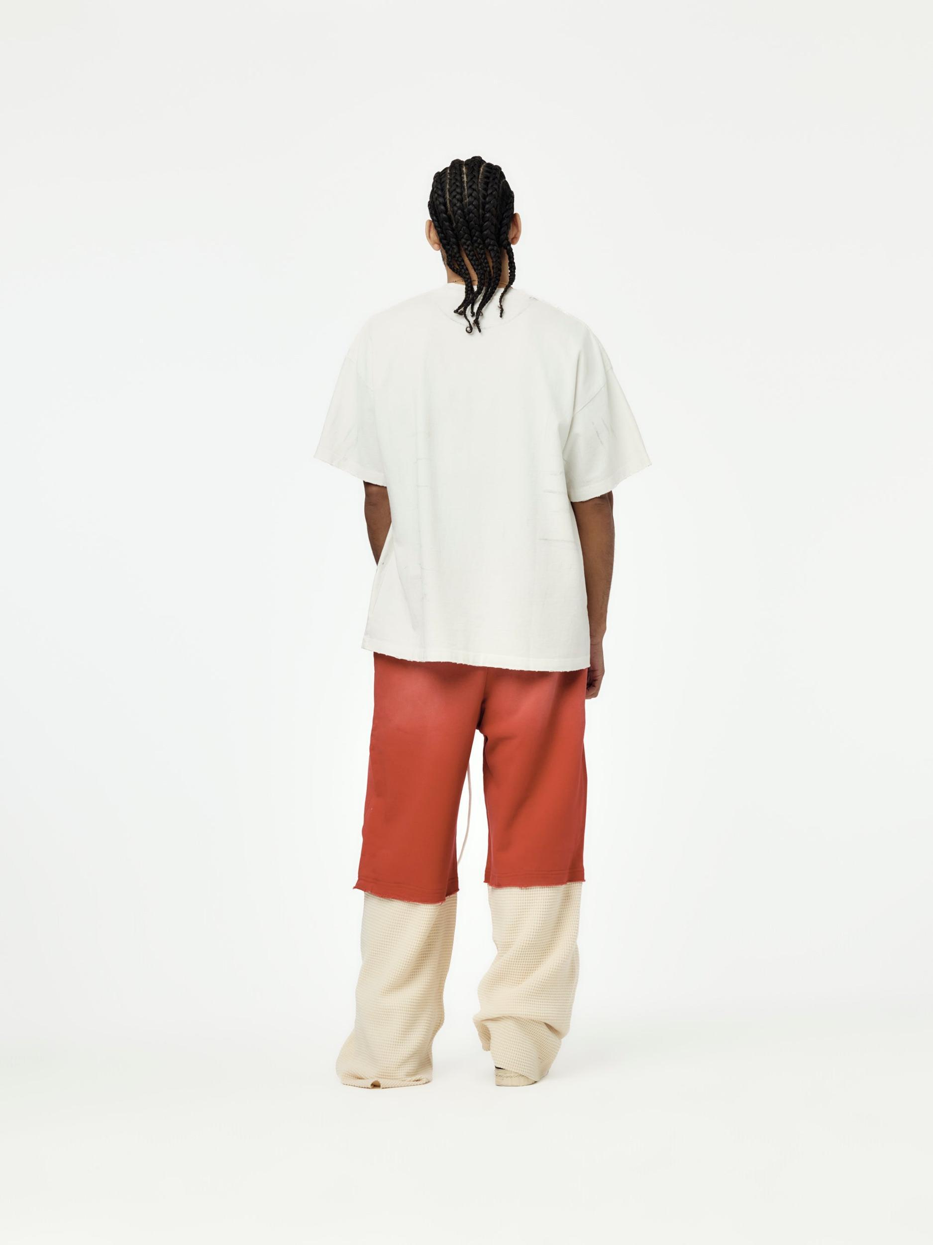 Destroyed Luke Tee (White) Product Image