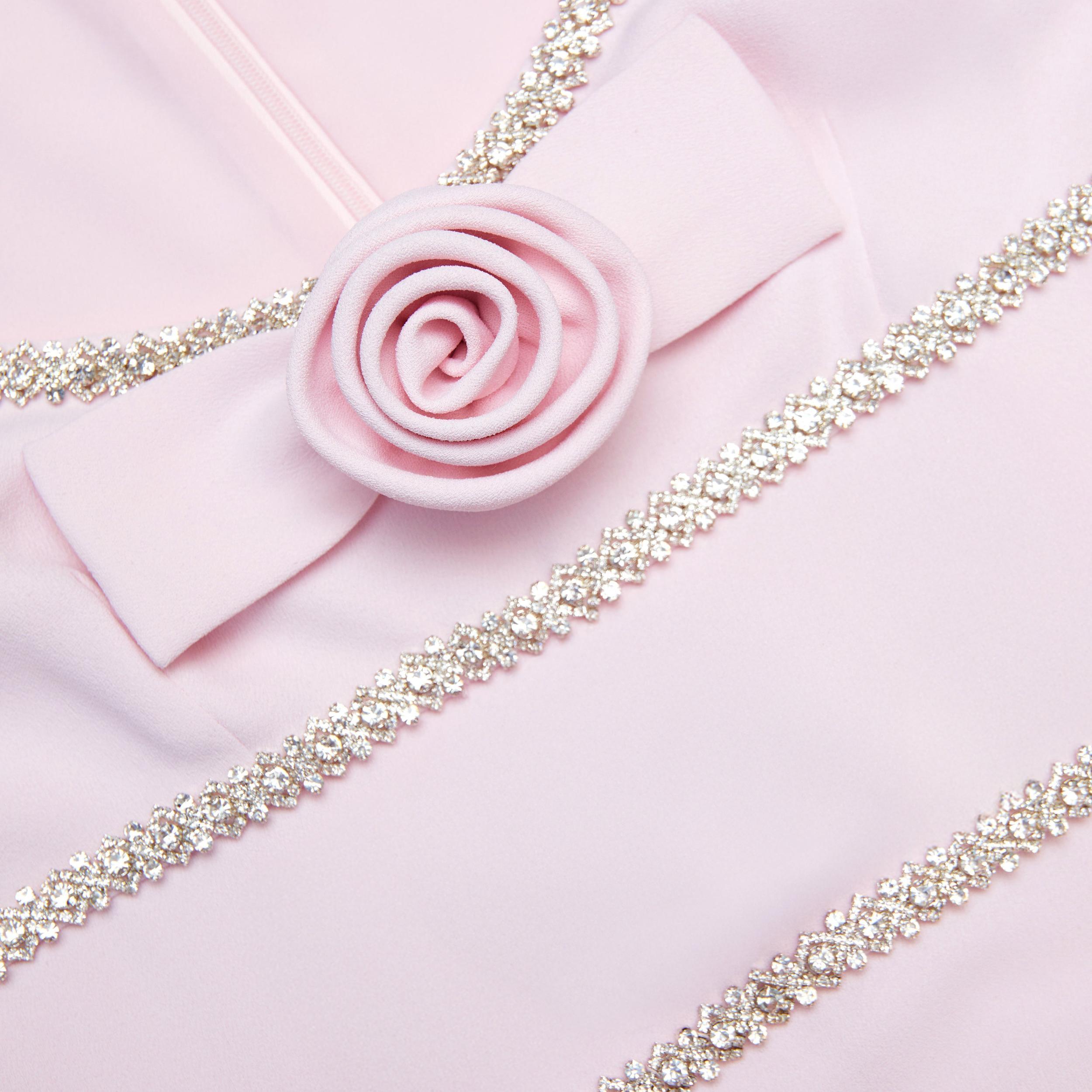 Pink Crepe Crystal Trim Maxi Dress Product Image