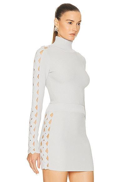 ALAÏA Long Sleeve Turtleneck Top In Gris Perle Product Image