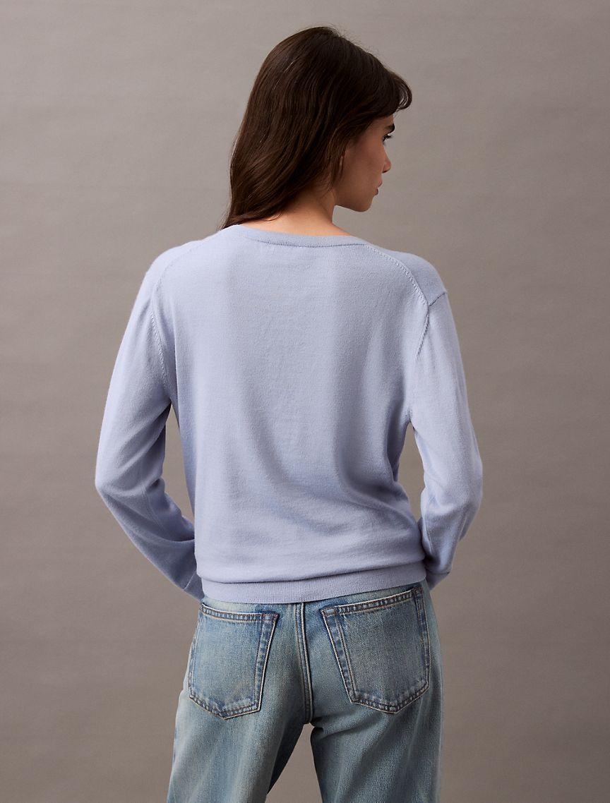 Extra Fine Merino Blend V-Neck Sweater Product Image
