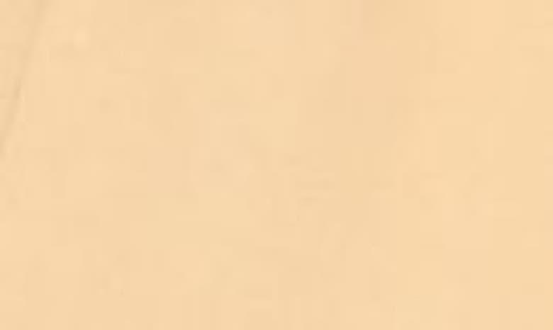 REBECCA TAYLOR Suiting Tailored Short In Beige Product Image