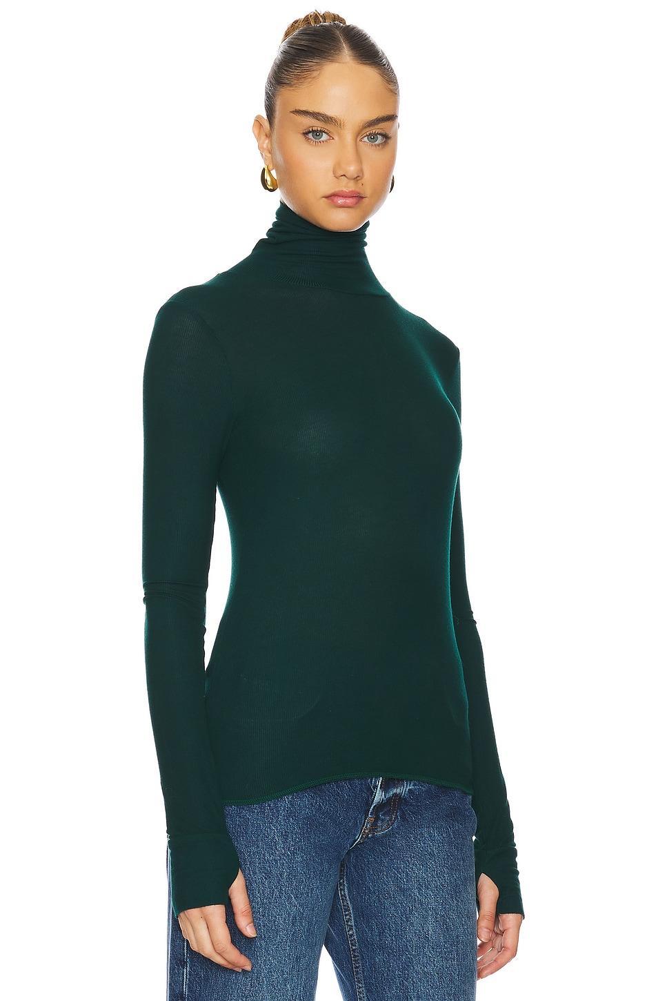 Arlen Long Sleeve Fitted Turtle Neck Top Michael Lauren Product Image