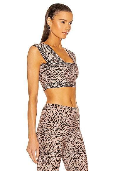 ALAÏA Alaia Ladies Fashion Womens Aa9h1007cm602 119 In Black Product Image