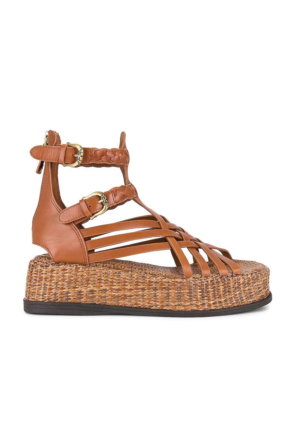 Nicki Sandal Sam Edelman Product Image