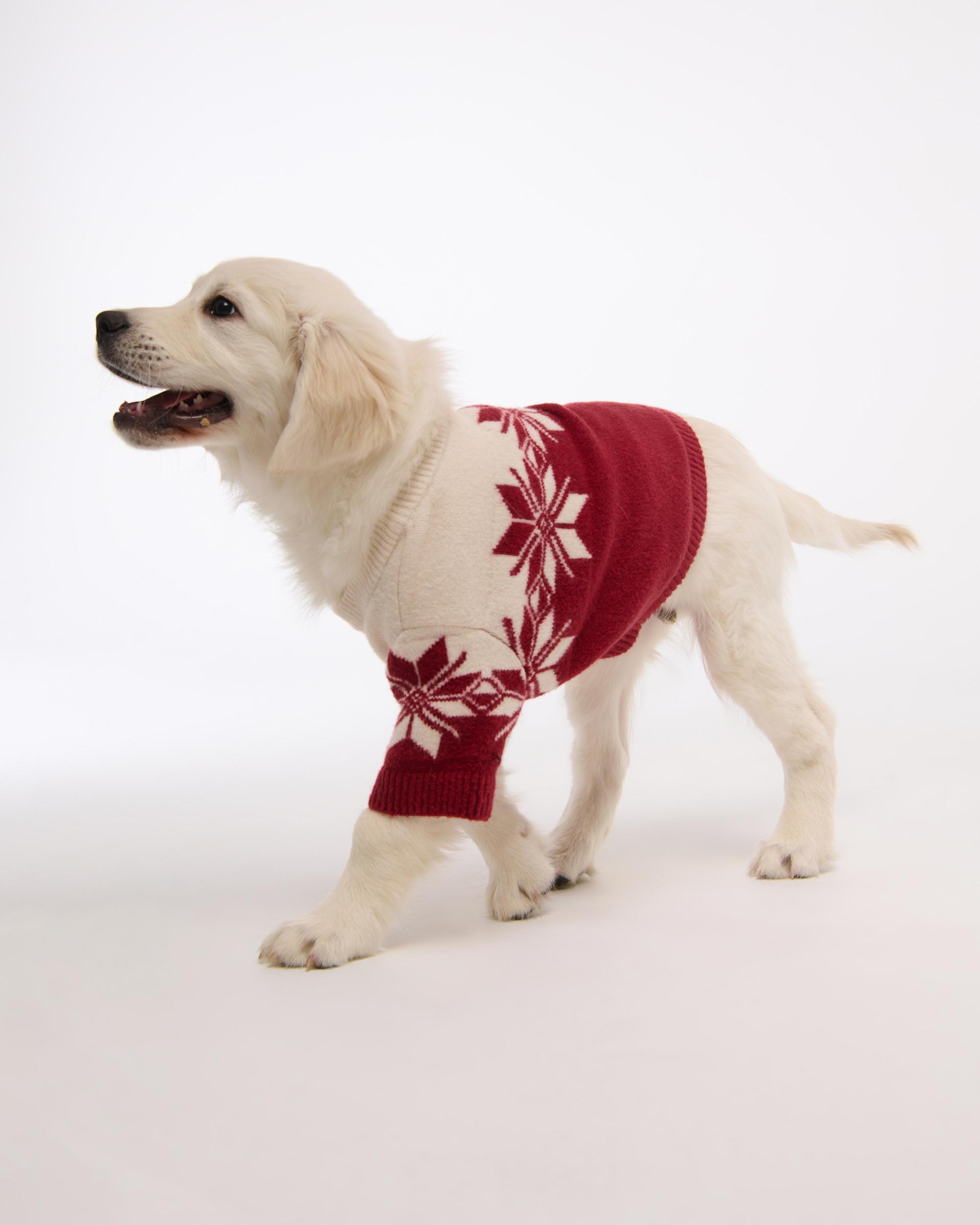 A&F Pet Sweater Product Image