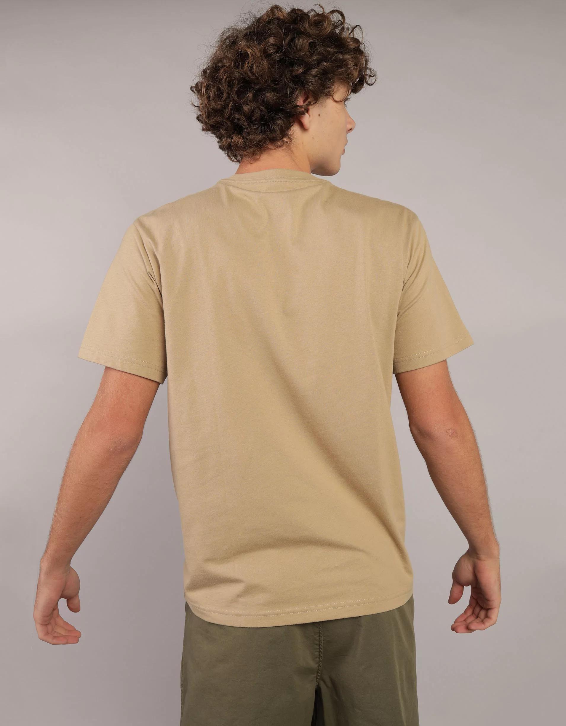 AE Icon Logo Graphic T-Shirt Product Image