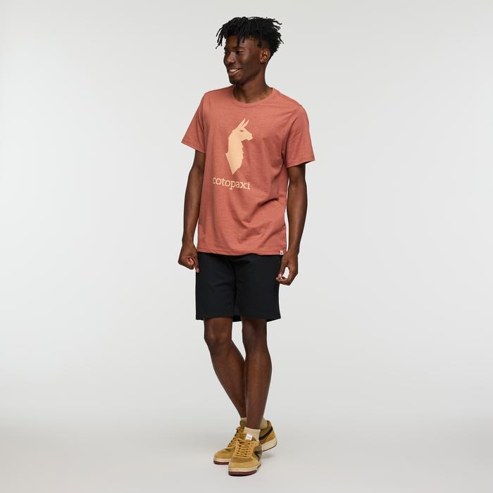 Cotopaxi Llama T-Shirt - Men's Product Image