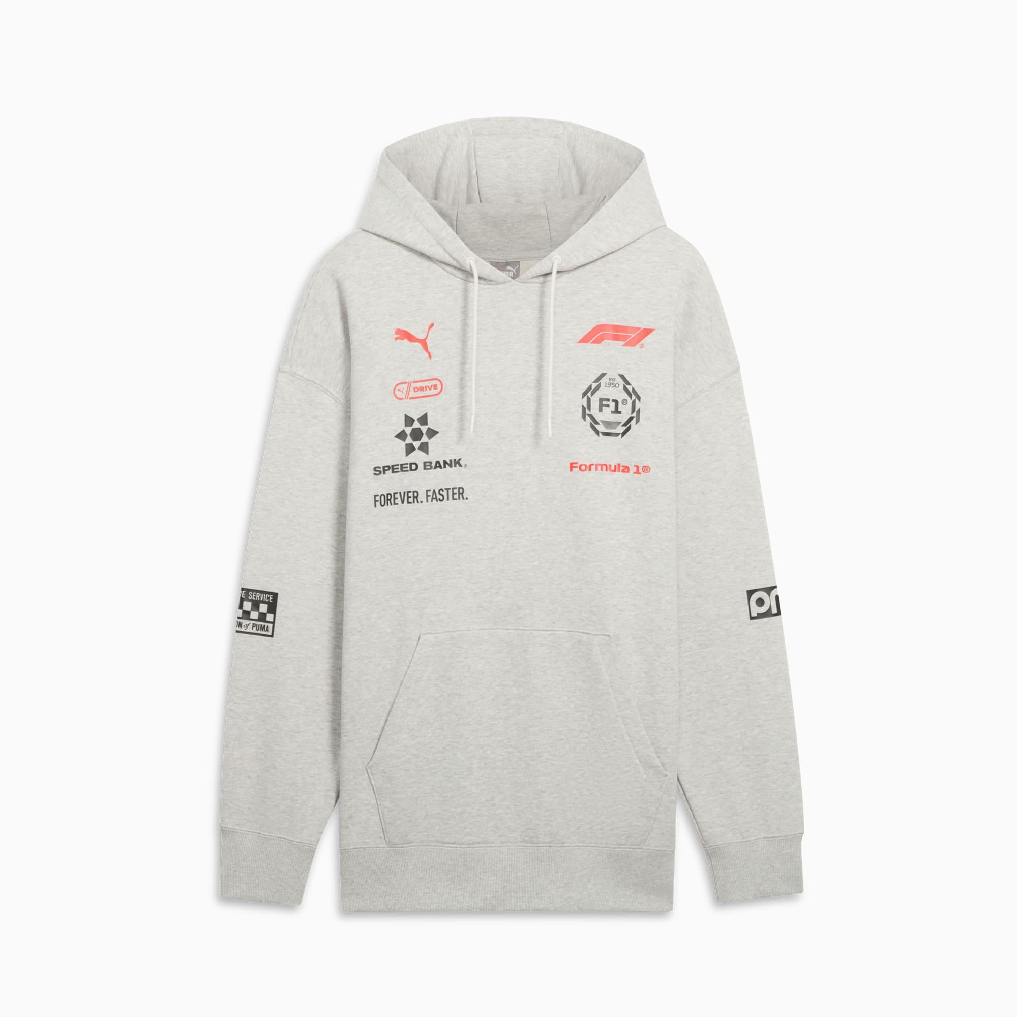 Formula 1® Racing Motorsport Men's Hoodie Product Image