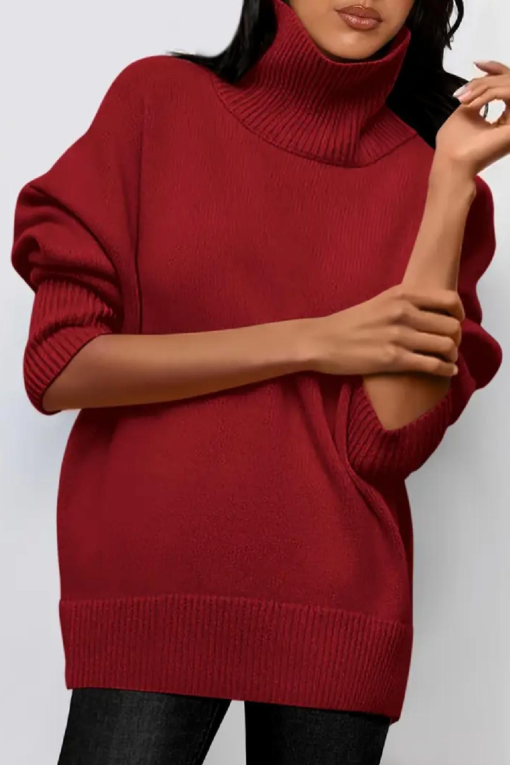 Saundra Ribbed Knit Turtleneck Product Image