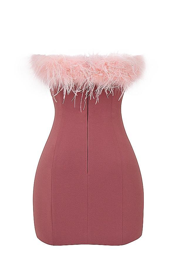 Alexa  warm pink mini dress Product Image
