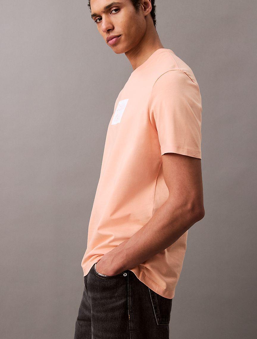 Box Logo Graphic Classic T-Shirt  Product Image