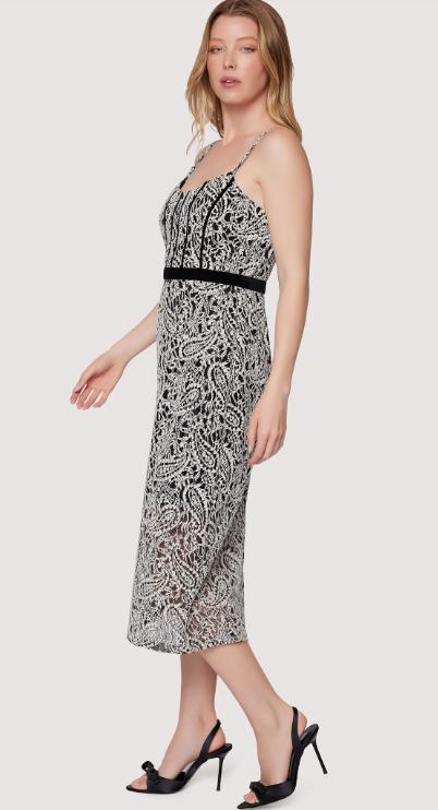 Mon Amour Midi Dress Product Image