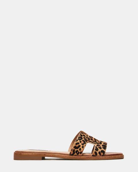 Steve Madden | Haydn Leopard Sandals Product Image