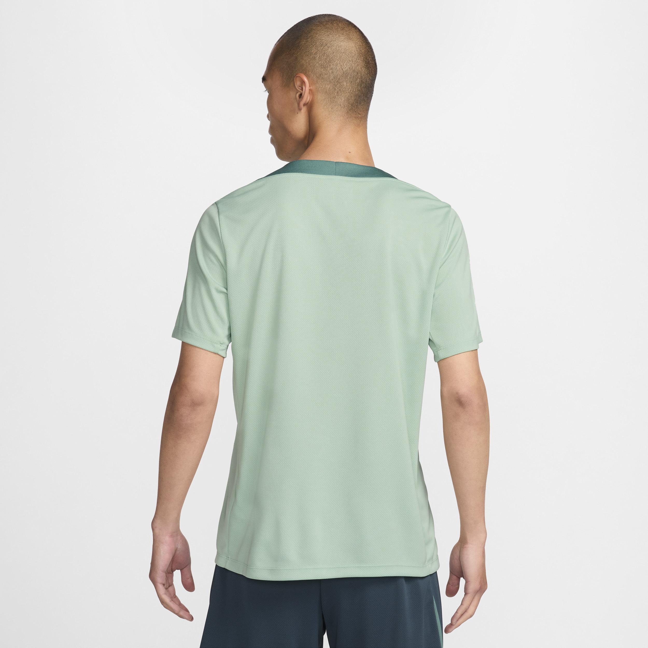 Men's Nike Green Tottenham Hotspur 2024 Third Strike Slim Fit Performance Top, Size: Medium, Tot Green Product Image