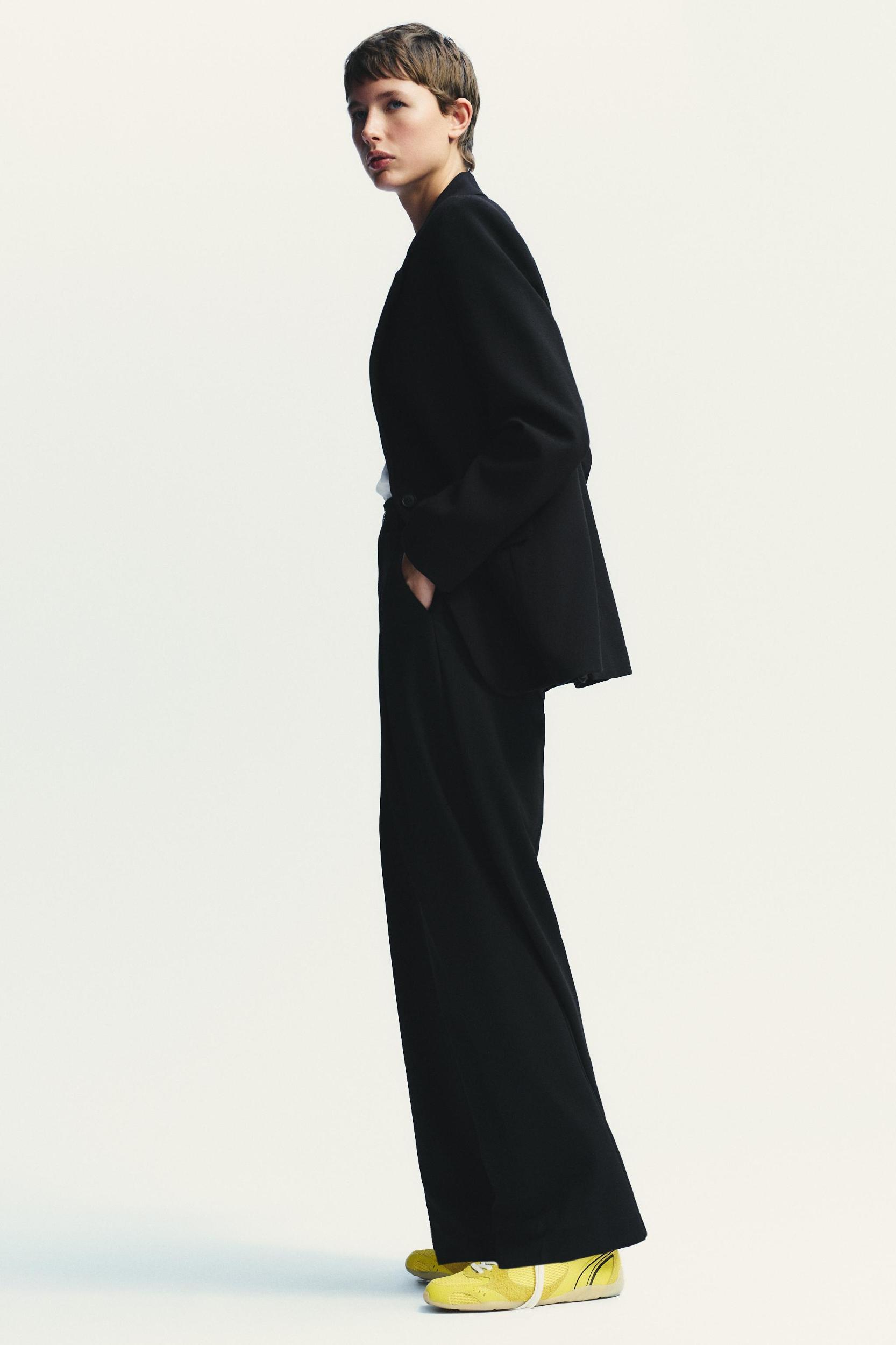 PLEATED PANTS Product Image
