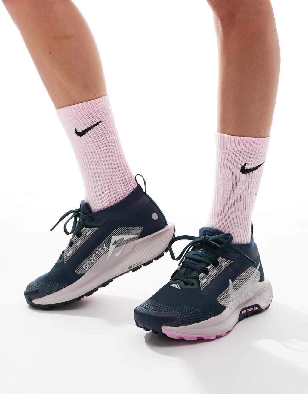 Nike Running Pegasus Trail 5 Gore-Tex sneakers in navy and silver Product Image