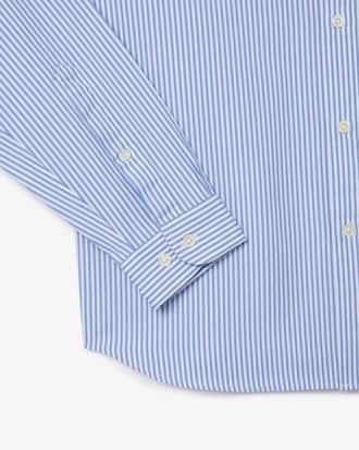 Regular Fit Striped Cotton Shirt Product Image