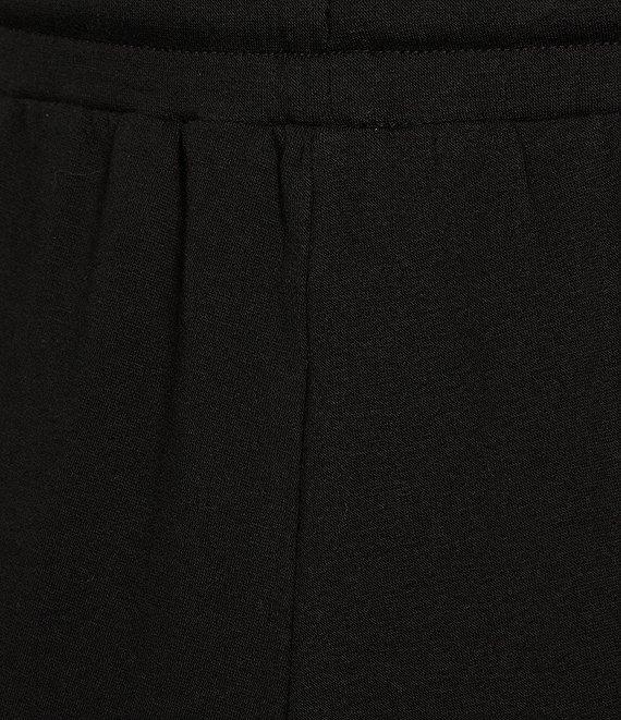 Eileen Fisher Tencel™ Lyocell Cozy Brushed Terry Hug Jogger Ankle Pants Product Image